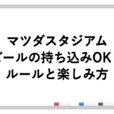 マツダスタジアムはビールの持ち込みOK？ルールと楽しみ方